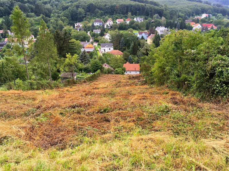 Aehnliche Immobilie - Vorschaubild 1